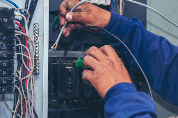 Best Affordable Electrician  in River Falls, WI